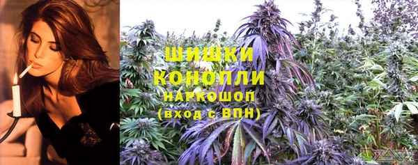 mdpv Горнозаводск