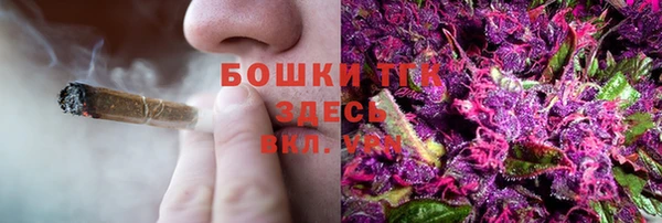 mdpv Горнозаводск