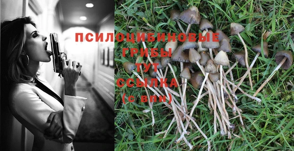 мдма Горняк