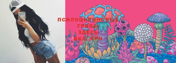 mdpv Горнозаводск